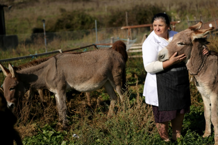 La fermière Fatiko Basha caresse l'une de ses ânesses dans sa ferme près de Gjirokaster, le 28 novembre 2024 en Albanie ( AFP / Adnan Beci )