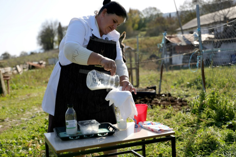 La fermière Fatiko Basha filtre du lait fraîchement trait dans son élevage d'ânes de Reiz, près de Gjirokaster, le 28 novembre 2024 en Albanie ( AFP / Adnan Beci )