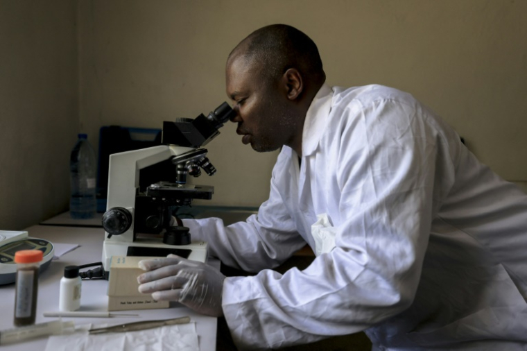 Aristide Takoukam Kamla (g), docteur en biologie marine, spécialiste du lamantin d'Afrique, travaille dans son laboratoire à Dizangue, le 11 décembre 2024 au Cameroun ( AFP / Daniel Beloumou Olomo )