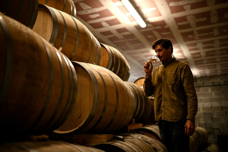 Un producteur de cognac goûte sa production le 15 octobre à Segonzac, dans le sud-ouest de la France   ( AFP / Christophe ARCHAMBAULT )