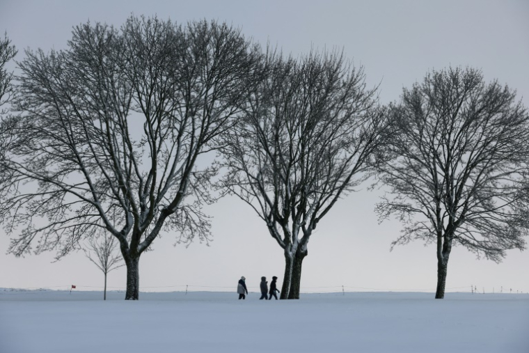 Paysage enneigé au mémorial canadien de Vimy, dans le Pas-de-Calais, le 9 janvier 2025 ( AFP / Denis Charlet )