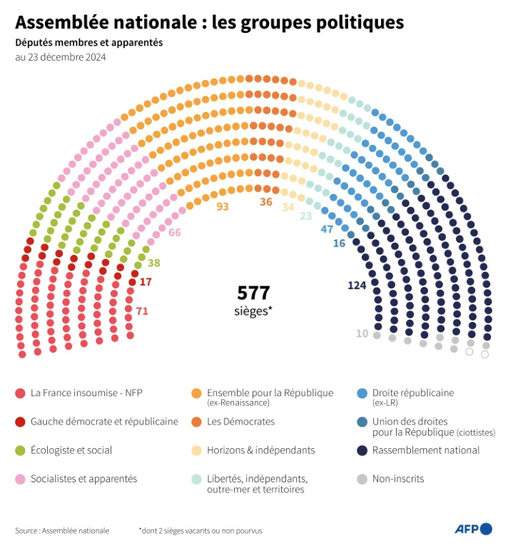 Assemblée nationale : les groupes politiques ( AFP / Nalini LEPETIT-CHELLA )